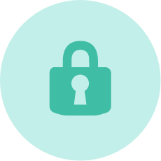 Website Security Icon